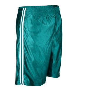 9"  ADULT  ATHLETIC SHORTS - Teal, M