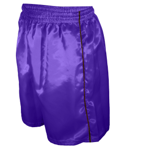 9"  ADULT  ATHLETIC SHORTS - Purple, M