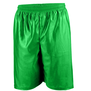 9"  ADULT  DAZZLE CLOTH  ATHLETIC SHORTS - Kelly Green, M
