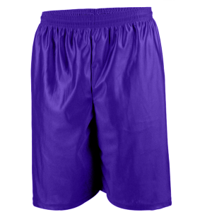 9"  ADULT  DAZZLE CLOTH  ATHLETIC SHORTS - Purple, M