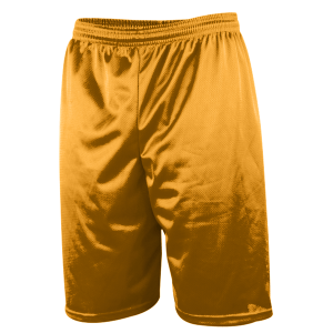 9"  ADULT  LINED MICRO MESH ATHLETIC SHORTS - Gold, M