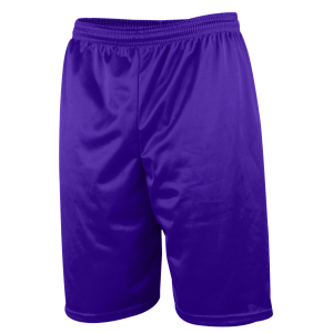 9"  ADULT  LINED MICRO MESH ATHLETIC SHORTS - Purple, M