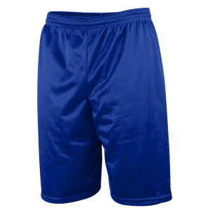 9"  ADULT  LINED MICRO MESH ATHLETIC SHORTS - Royal Blue, M