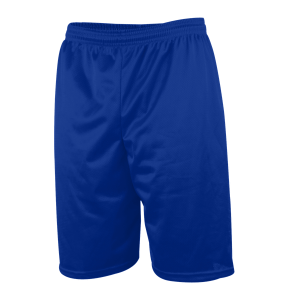 9"  ADULT  2 PLY MICRO MESH ATHLETIC SHORTS - Royal Blue, M