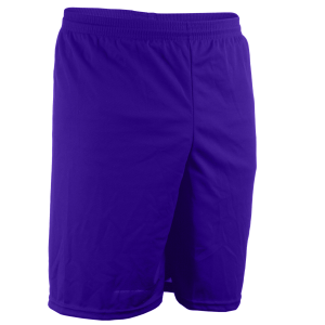 9"  ADULT  COOL MESH  ATHLETIC SHORTS - Purple, M