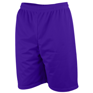 9"  ADULT  LINED TRICOT MESH ATHLETIC SHORTS - Purple, M