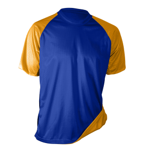 ADULT  REVERSIBLE  JERSEY - Royal / Gold, M