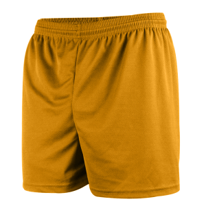 ADULT  TRACK SHORTS