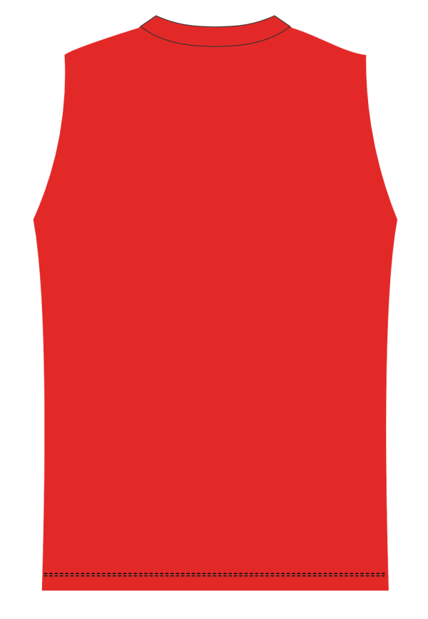 Sublimated Cheer Top