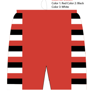 Sublimated Athletic Shorts 9" Inseam