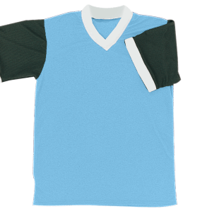 YOUTH SOCCER JERSEY - Columbian Blue, M