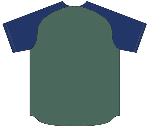 Sublimated Full Button Raglan Sleeve Baseball Jersey