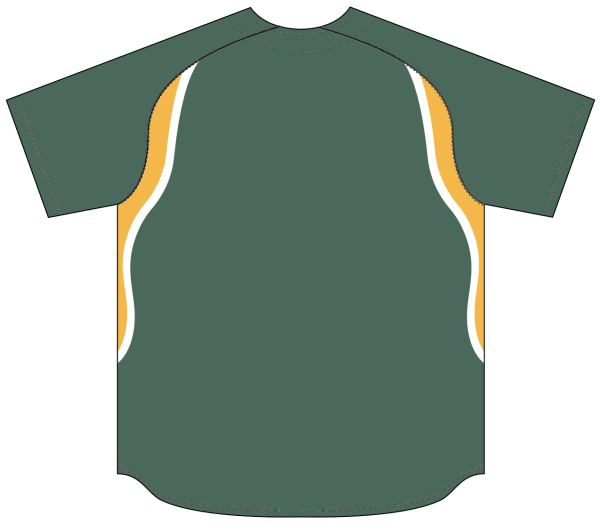 Sublimated Full Button Raglan Sleeve Baseball Jersey