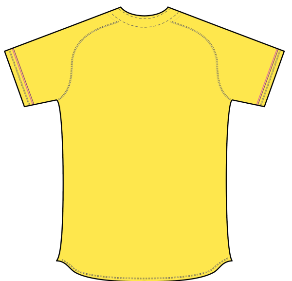 Sublimated Full Button Raglan Sleeve Softball Jersey