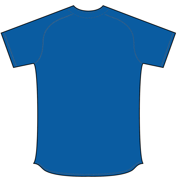 Sublimated Full Button Raglan Sleeve Softball Jersey
