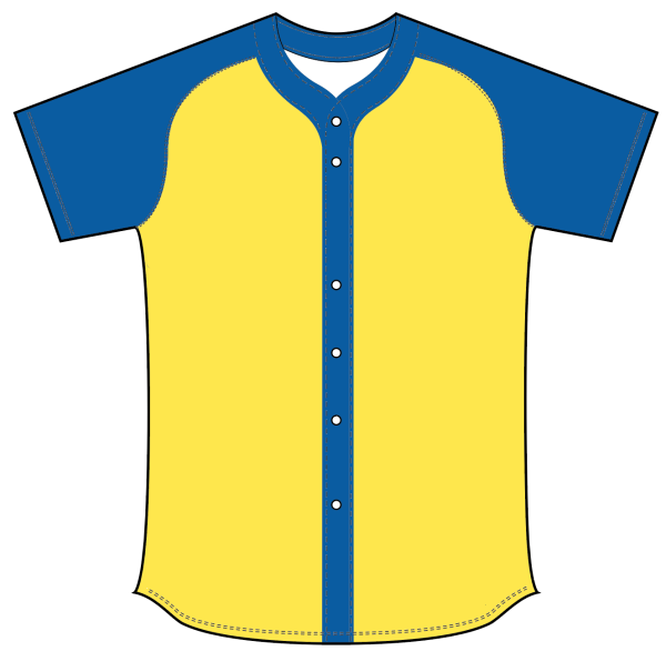 Sublimated Full Button Raglan Sleeve Softball Jersey