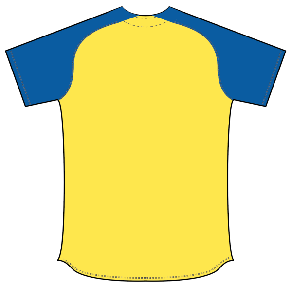 Sublimated Full Button Raglan Sleeve Softball Jersey