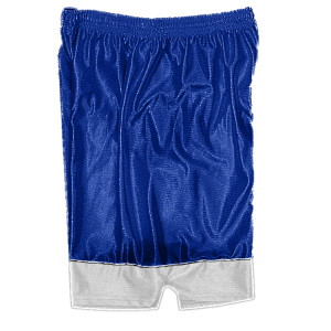5"  ADULT  ATHLETIC SHORTS - Royal Blue, M