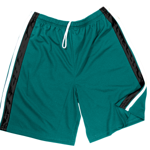5"  ADULT  ATHLETIC SHORTS - Teal, M