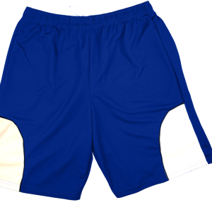 5"  ADULT  ATHLETIC SHORTS - Royal Blue, M