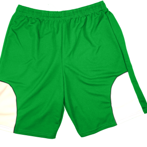 5"  ADULT  ATHLETIC SHORTS - Kelly Green, M