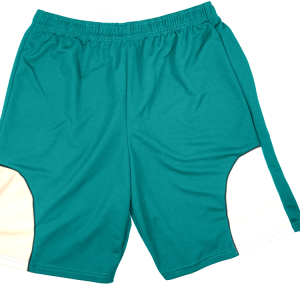 5"  ADULT  ATHLETIC SHORTS - Teal, M