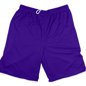 5"  ADULT  ATHLETIC SHORTS - Purple, M
