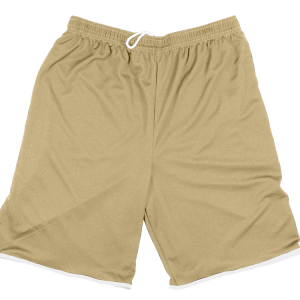 5"  ADULT  ATHLETIC SHORTS - Vegas Gold, M