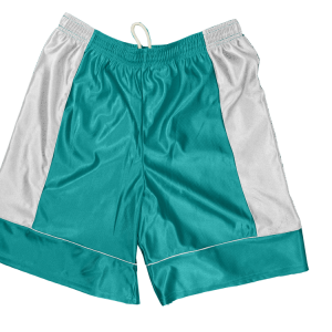 5"  ADULT  ATHLETIC SHORTS - Teal, M