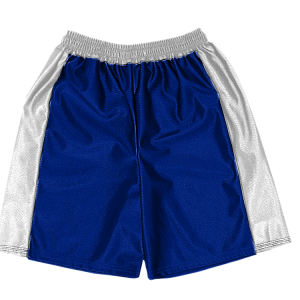 5"  ADULT  ATHLETIC SHORTS - Royal Blue, M