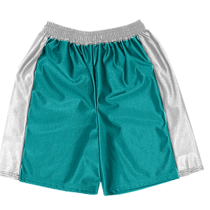 5"  ADULT  ATHLETIC SHORTS - Teal, M