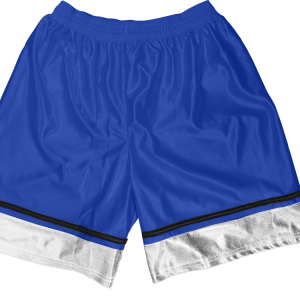 5"  ADULT  ATHLETIC SHORTS - Royal Blue, M