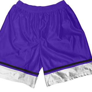 5"  ADULT  ATHLETIC SHORTS - Purple, M
