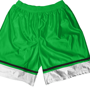 5"  ADULT  ATHLETIC SHORTS - Kelly Green, M