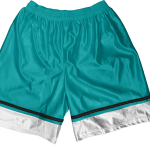 5"  ADULT  ATHLETIC SHORTS - Teal, M