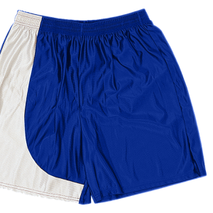 5"  ADULT  ATHLETIC SHORTS - Royal Blue, M