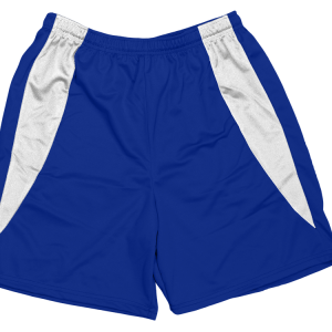 5"  ADULT  ATHLETIC SHORTS - Royal Blue, M