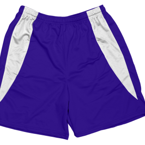 5"  ADULT  ATHLETIC SHORTS - Purple, M