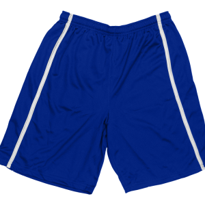 5"  ADULT  ATHLETIC SHORTS - Royal Blue, M