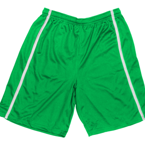 5"  ADULT  ATHLETIC SHORTS - Kelly Green, M