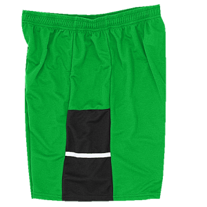 9"  ADULT  ATHLETIC SHORTS - Kelly Green, M
