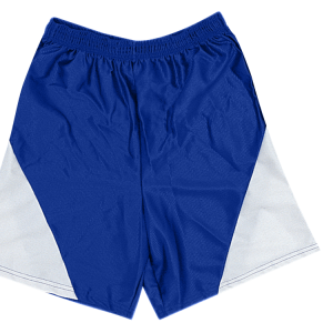 9"  ADULT  ATHLETIC SHORTS - Royal Blue, M