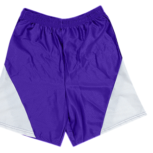 9"  ADULT  ATHLETIC SHORTS - Purple, M