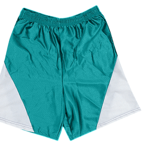 9"  ADULT  ATHLETIC SHORTS - Teal, M