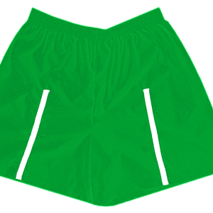 5"  ADULT  ATHLETIC SHORTS - Kelly Green, M