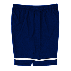 5"  ADULT  ATHLETIC SHORTS - Royal Blue, M