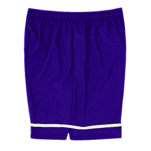 5"  ADULT  ATHLETIC SHORTS - Purple, M