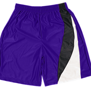 5"  ADULT  ATHLETIC SHORTS - Purple, M