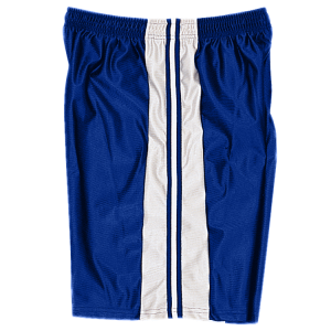 5"  ADULT  ATHLETIC SHORTS - Royal Blue, M