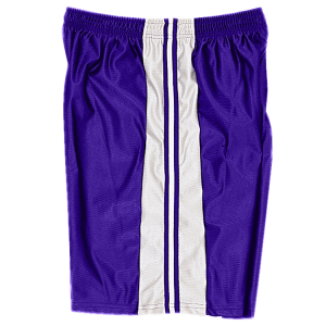 5"  ADULT  ATHLETIC SHORTS - Purple, M